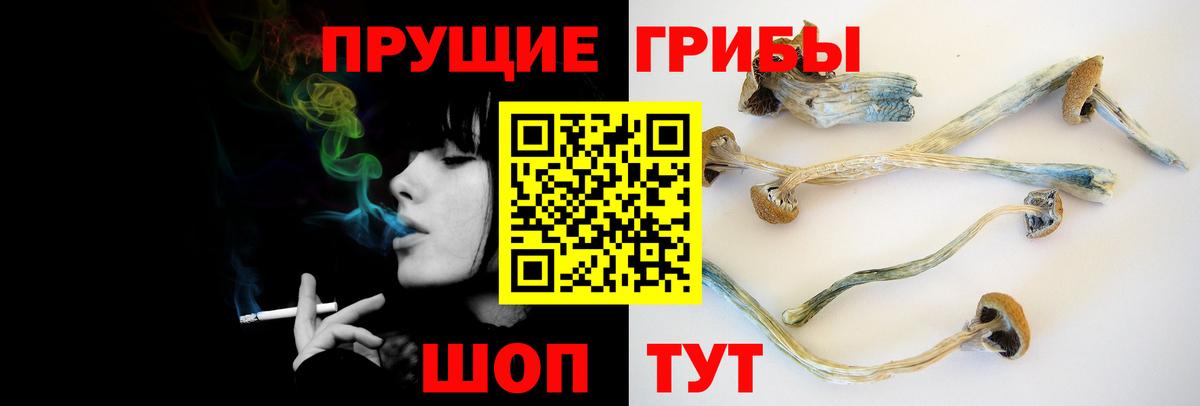 Галлюциногенные грибы GOLDEN TEACHER Скопин