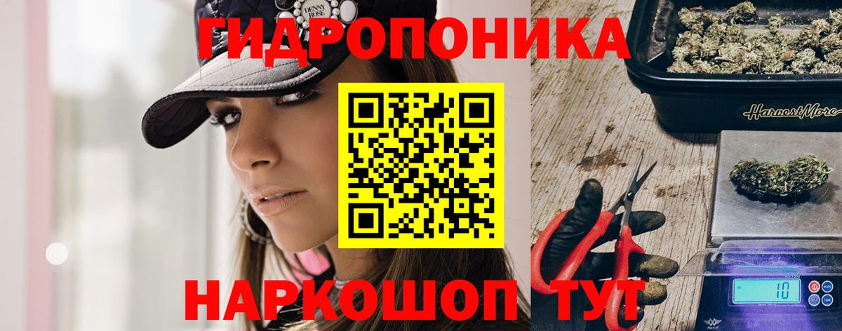 Бошки Шишки ГИДРОПОН Скопин