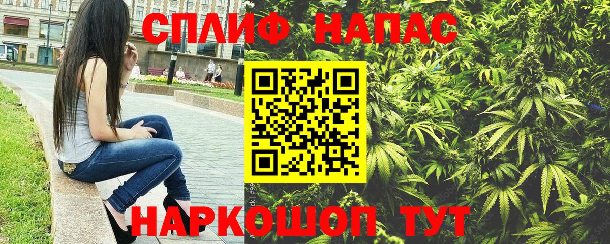 Шишки марихуана конопля  Конопля VHQ  Скопин  Марихуана планчик  Вход с VPN 